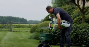 Bemesten