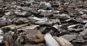 Mulch