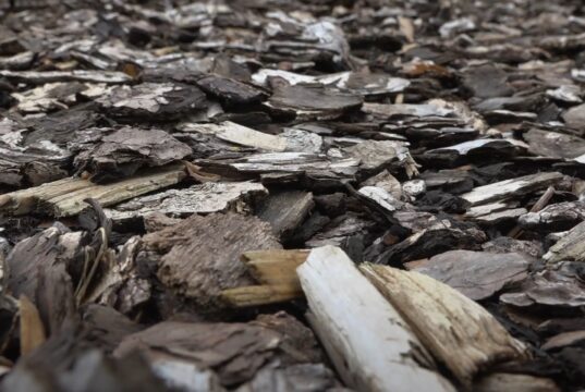 Mulch