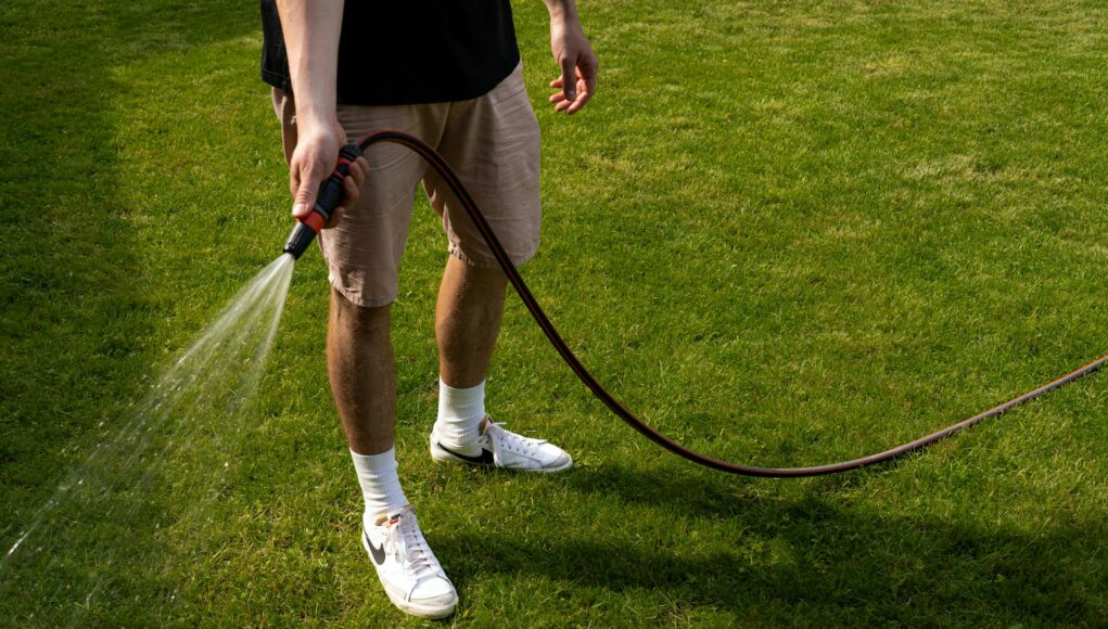 Wetting Agents